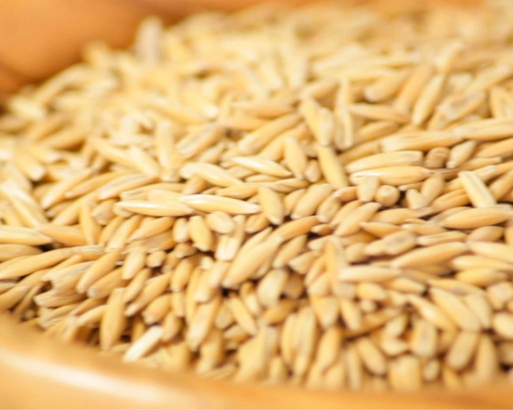 Oat malt