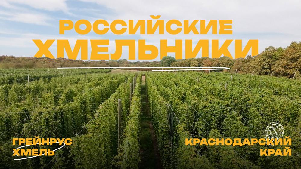 Видео-репортаж о хмельниках Грейнрус в Краснодарском крае
