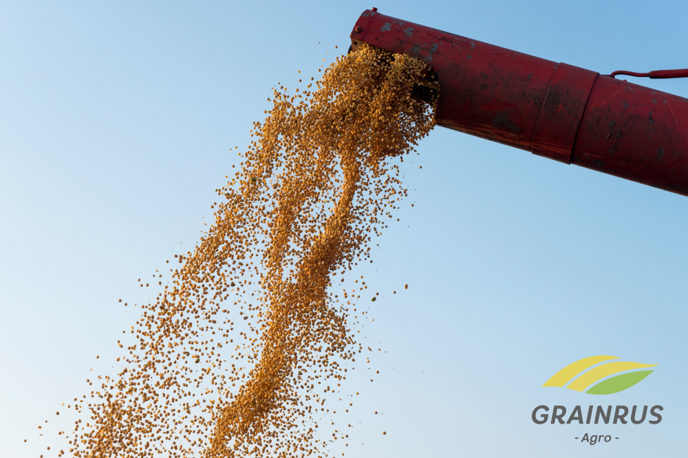 How to store grains in winter