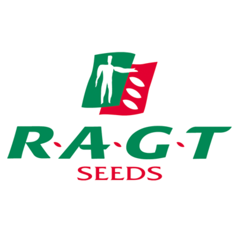 RAGT RAGT