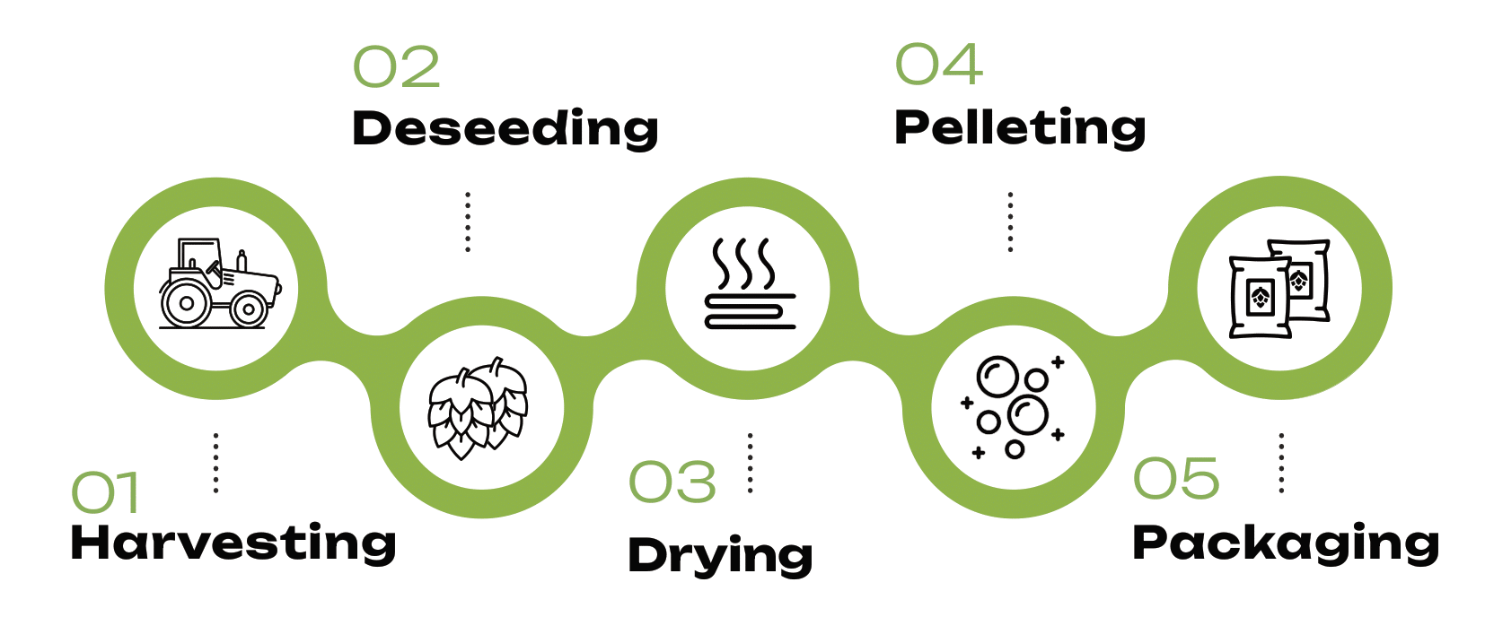 Hop cultivation - full year cycle