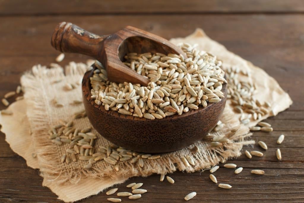 Grainrus launched rye malt production line Grainrus launched rye malt production line