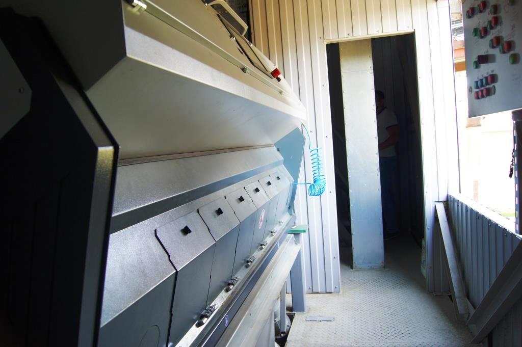 Семеноводство