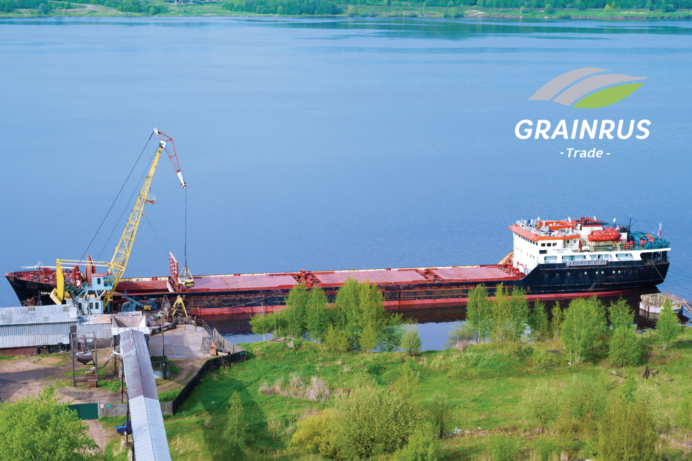 What is global grain trading?