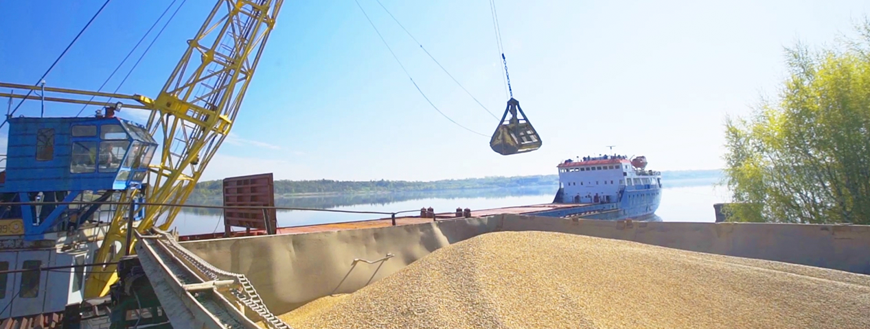 Purchase of grain and legumes Purchase of grain and legumes