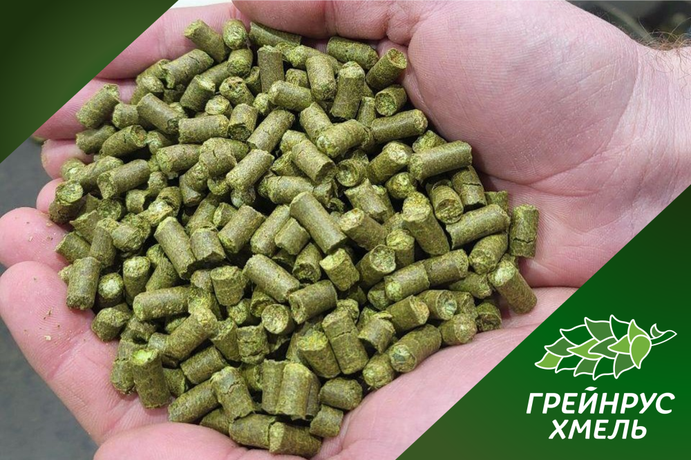 Начало грануляции урожая хмеля 2025 года