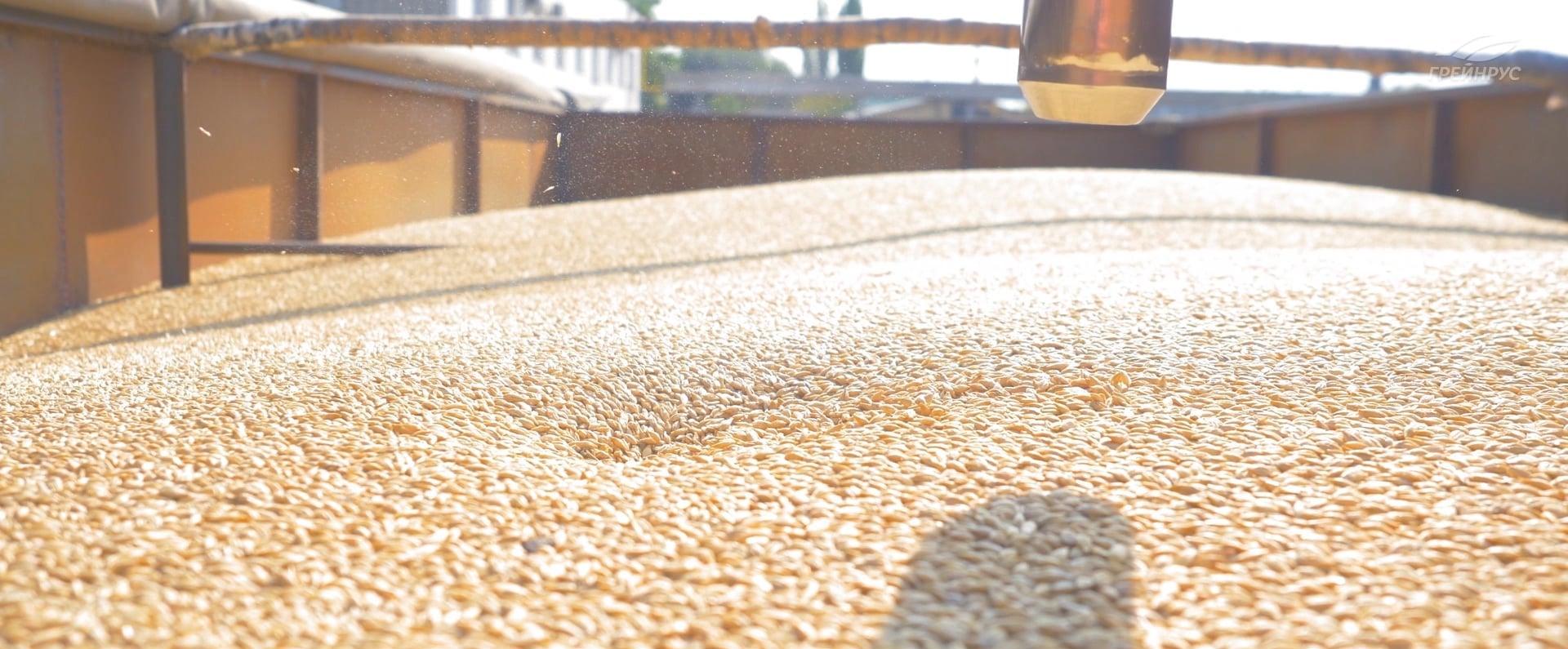 Cultivation of malting barley Cultivation of malting barley