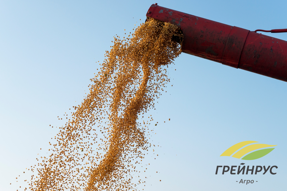 Хранение зерна зимой