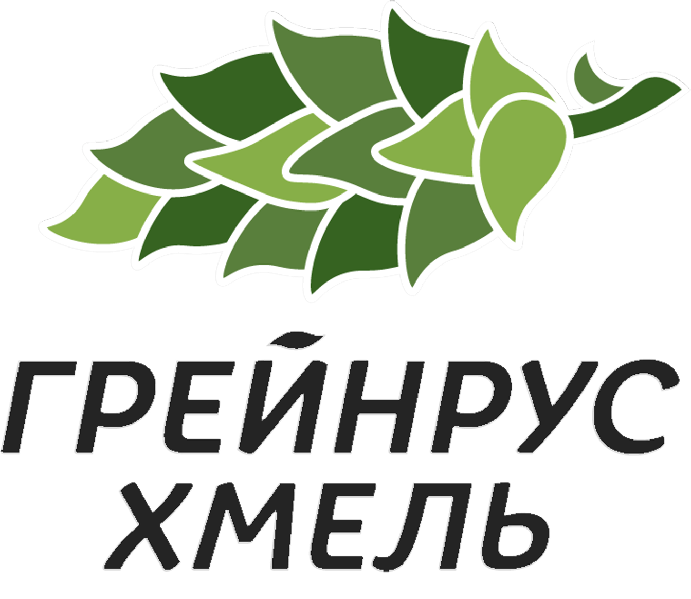 greinrus_hmel, HTML