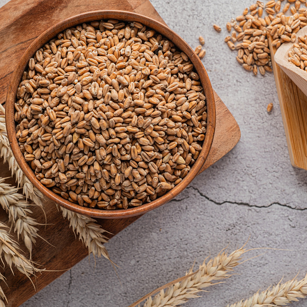 Солод Пшеничный Солод Пшеничный