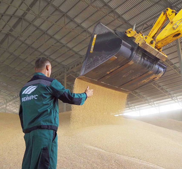 Грейнрус Агро Грейнрус Агро