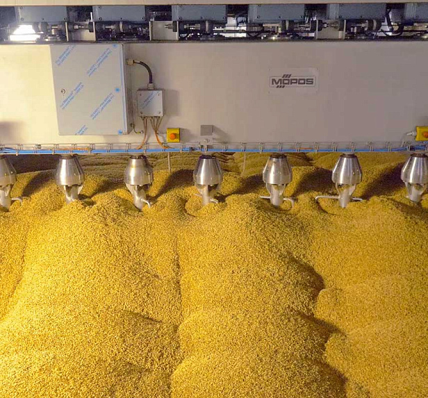 Грейнрус - Курский солод