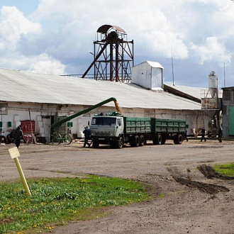 Хлебоприёмный пункт Полевая