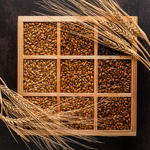 Солод обжаренный Солод обжаренный