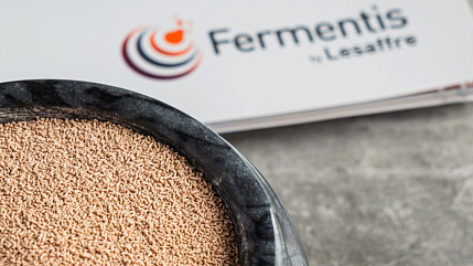 Импорт дрожжей Fermentis