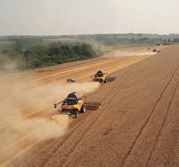 Грейнрус Агро Грейнрус Агро
