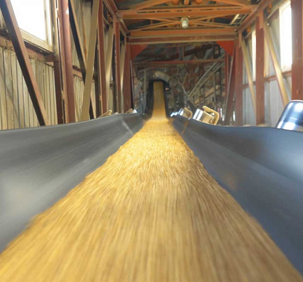 Грейнрус - Курский солод