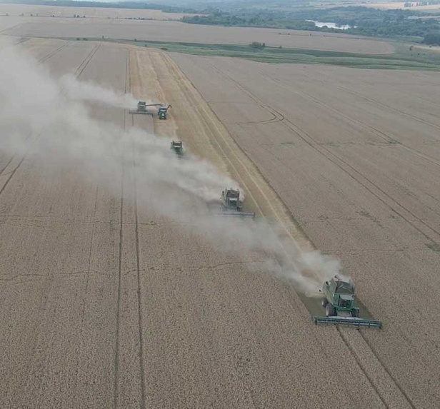 Грейнрус Агро Грейнрус Агро