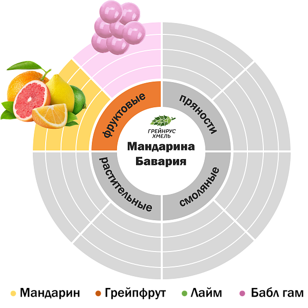 Хмель Мандарина Бавария