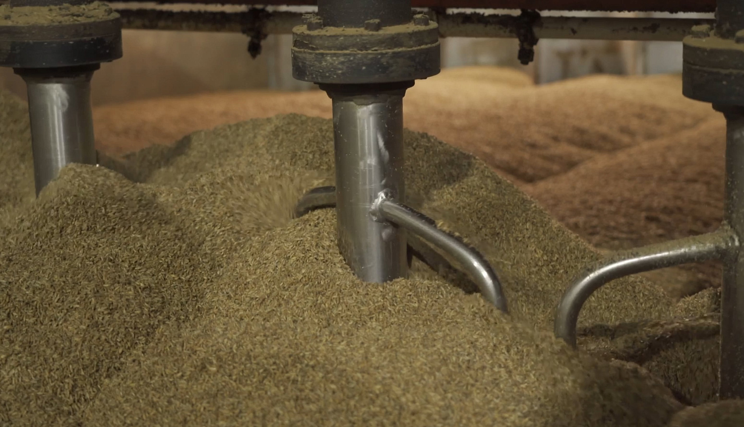 Производство ржаного солода