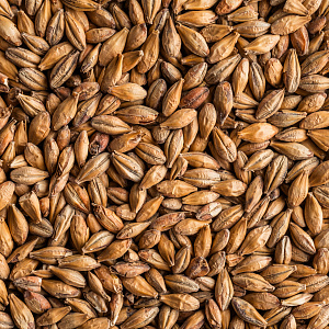 Солод Мюнхенский тип 2