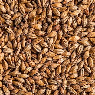 Солод Мюнхенский тип 2