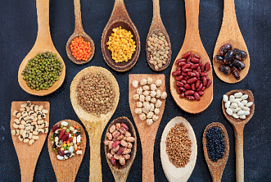 Purchase of grain and legumes Purchase of grain and legumes