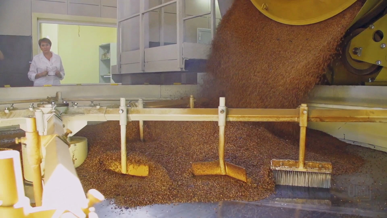 Malt production