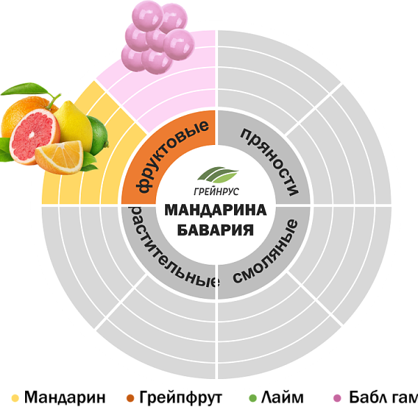 Хмель Мандарина Бавария