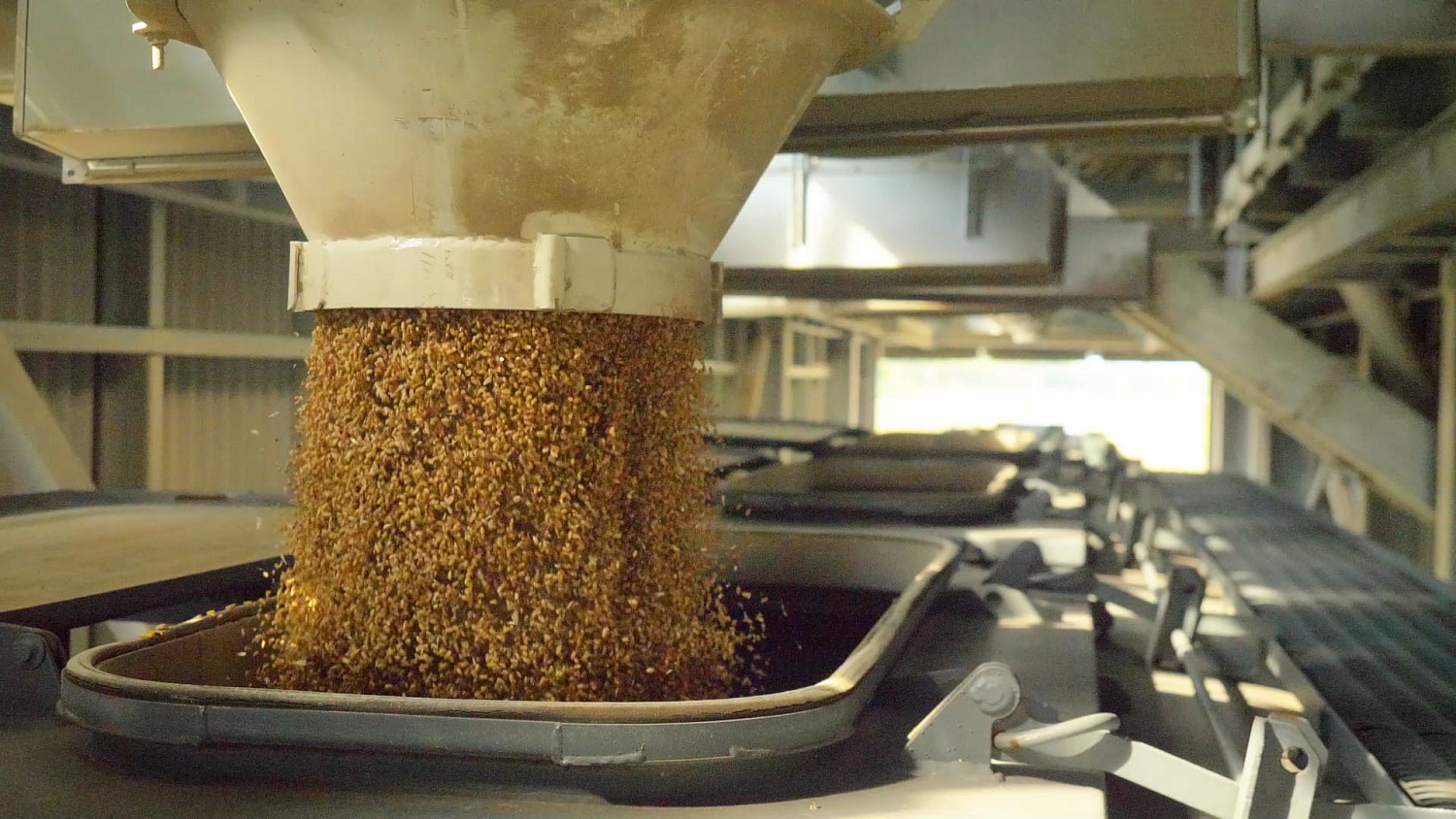 Растениеводство Растениеводство