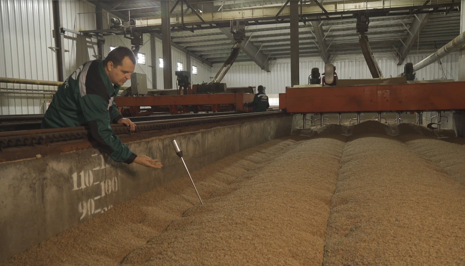 Производство ржаного солода