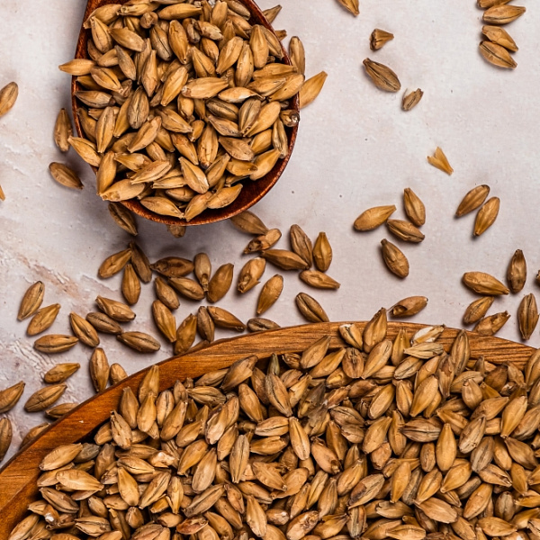 Pilsner PREMIUM malt