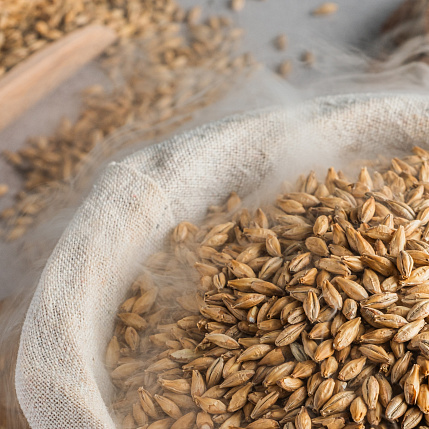 Raw material for beverages