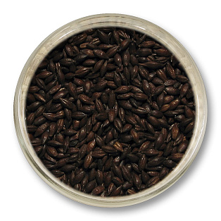 Roasted barley Roasted barley