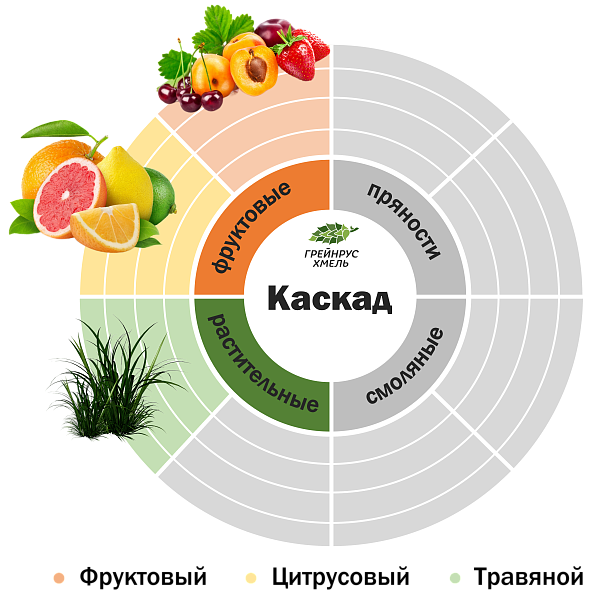 Хмель Каскад
