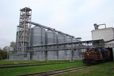 Feed production
