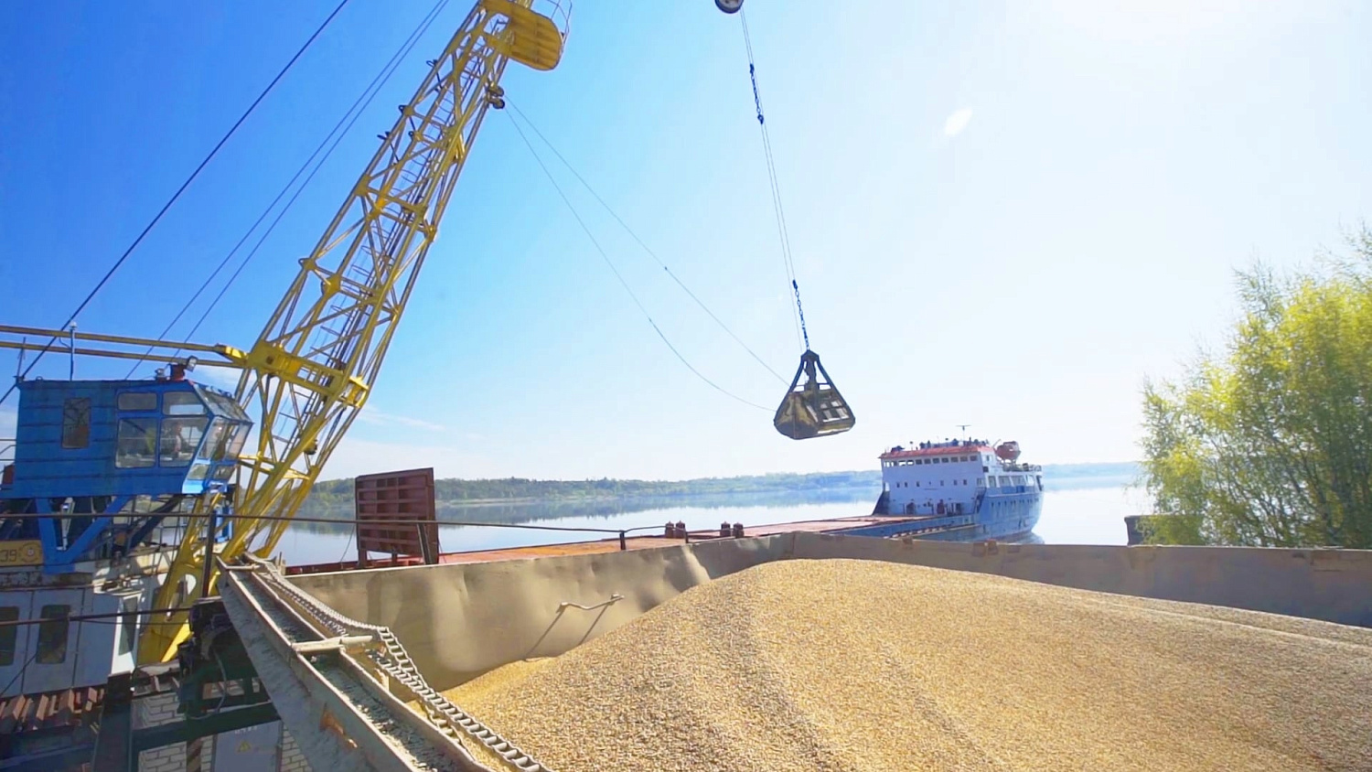 Логистика и хранение зерновых и масличных культур