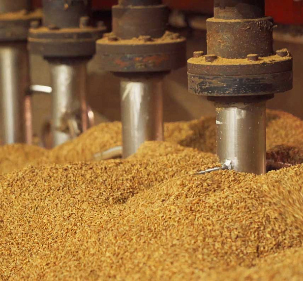 Органик Фуд