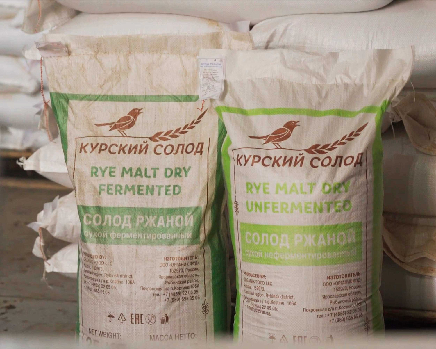 Production of rye malt Production of rye malt