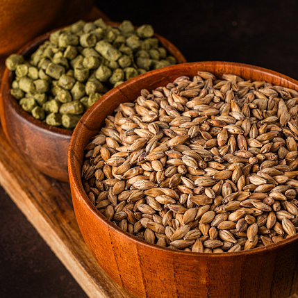 Production of raw materials for brewing