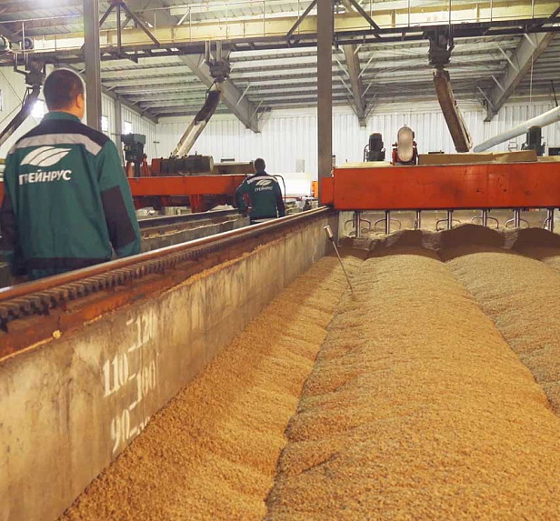 Органик Фуд