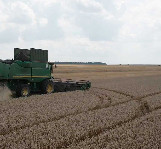 Грейнрус Агро Грейнрус Агро