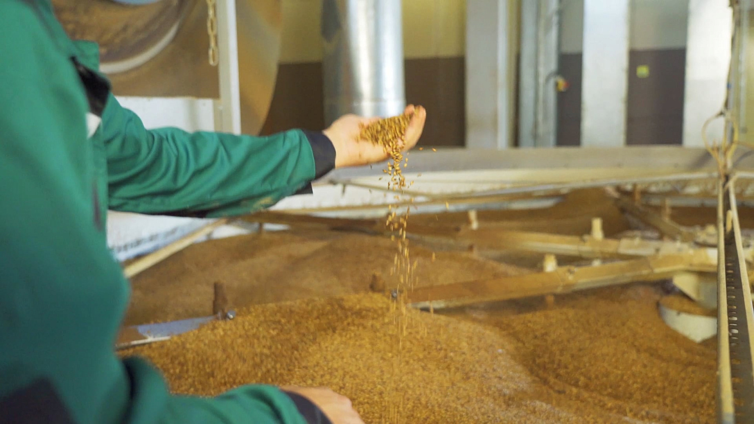 Производство солода Производство солода