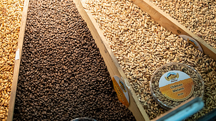 Импорт сырья для пивоварения