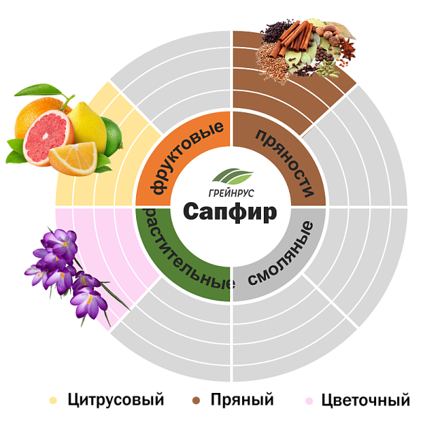 Хмель Сапфир
