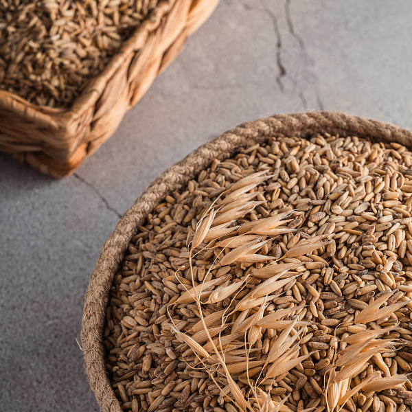 Овсяный солод