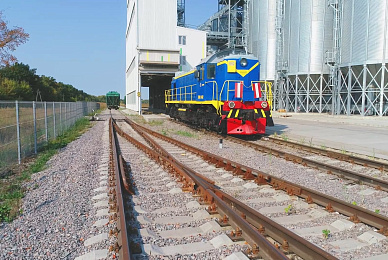 Logistics and storage of grain and oilseeds Logistics and storage of grain and oilseeds