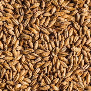 Smoked and peated malt