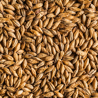 Smoked and peated malt