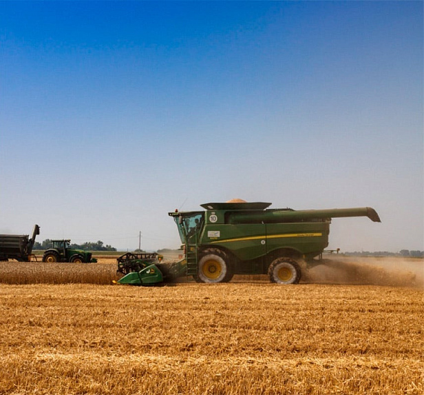 Грейнрус Агро Грейнрус Агро